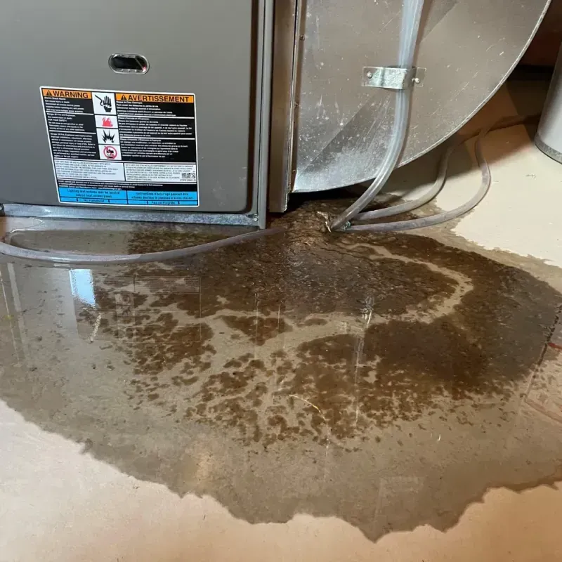 Appliance Leak Cleanup in Coles County, IL